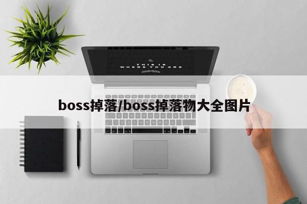 boss掉落/boss掉落物大全图片