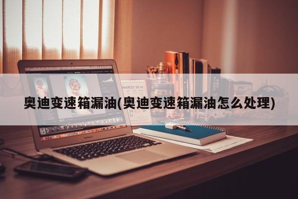 奥迪变速箱漏油(奥迪变速箱漏油怎么处理)