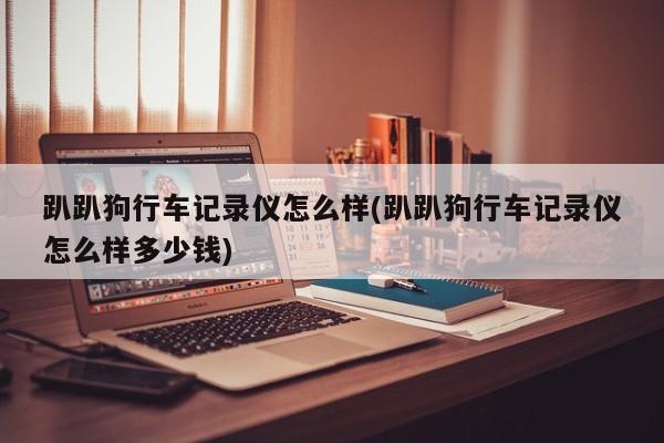 趴趴狗行车记录仪怎么样(趴趴狗行车记录仪怎么样多少钱)
