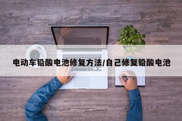 电动车铅酸电池修复方法/自己修复铅酸电池