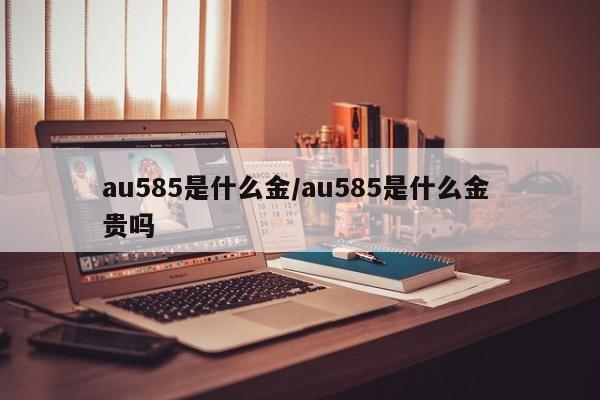 au585是什么金/au585是什么金 贵吗