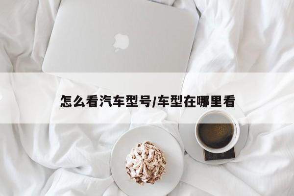 怎么看汽车型号/车型在哪里看