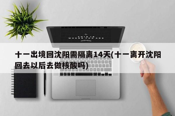 十一出境回沈阳需隔离14天(十一离开沈阳回去以后去做核酸吗)
