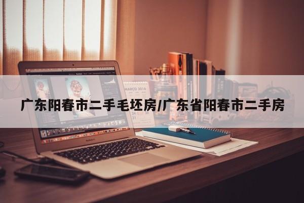 广东阳春市二手毛坯房/广东省阳春市二手房