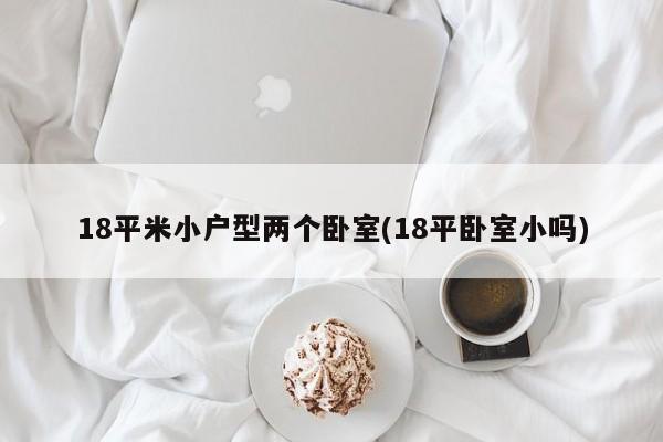 18平米小户型两个卧室(18平卧室小吗)