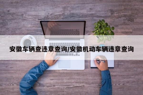 安徽车辆查违章查询/安徽机动车辆违章查询