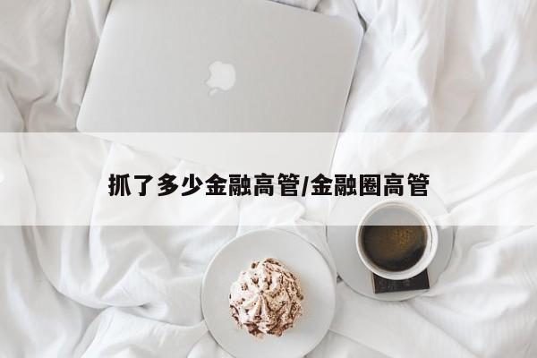 抓了多少金融高管/金融圈高管