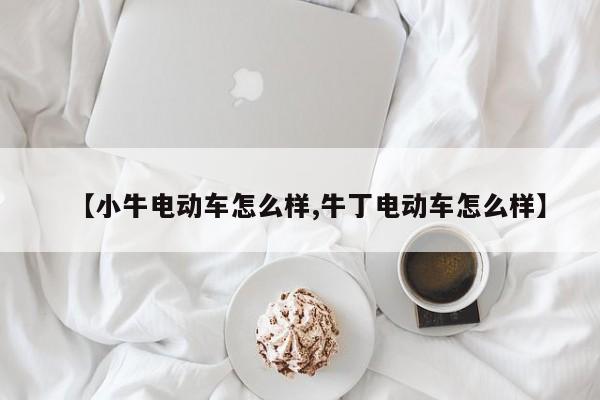 【小牛电动车怎么样,牛丁电动车怎么样】