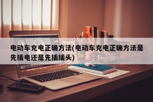 电动车充电正确方法(电动车充电正确方法是先插电还是先插插头)
