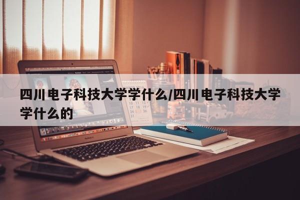 四川电子科技大学学什么/四川电子科技大学学什么的