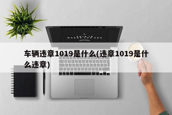车辆违章1019是什么(违章1019是什么违章)