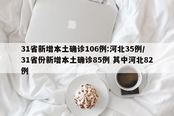 31省新增本土确诊106例:河北35例/31省份新增本土确诊85例 其中河北82例