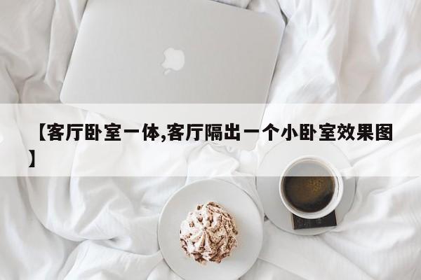 【客厅卧室一体,客厅隔出一个小卧室效果图】