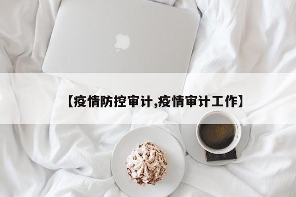 【疫情防控审计,疫情审计工作】