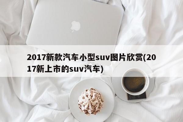 2017新款汽车小型suv图片欣赏(2017新上市的suv汽车)