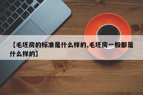【毛坯房的标准是什么样的,毛坯房一般都是什么样的】