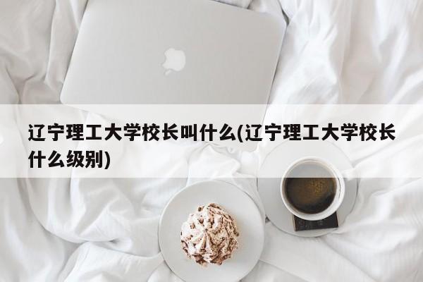 辽宁理工大学校长叫什么(辽宁理工大学校长什么级别)