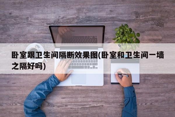 卧室跟卫生间隔断效果图(卧室和卫生间一墙之隔好吗)